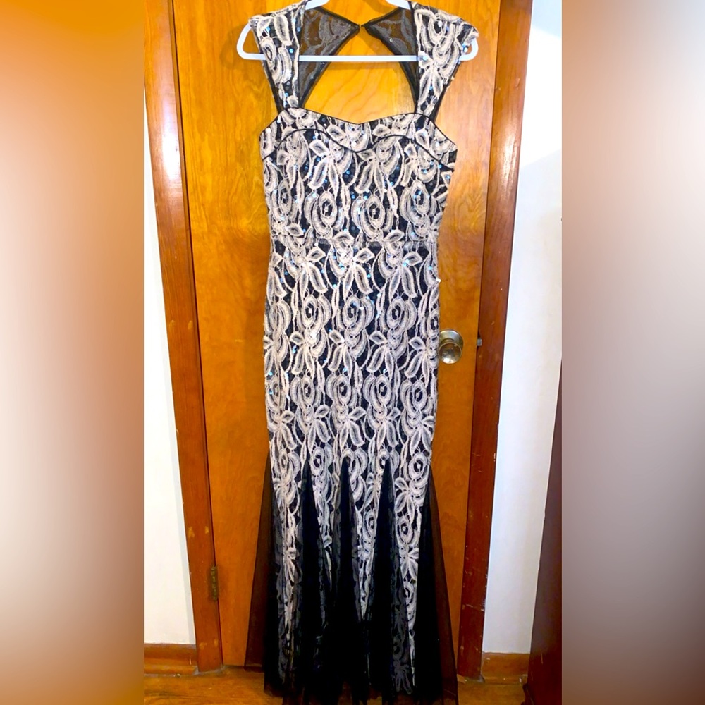 Prom / Evening Dress - image 1